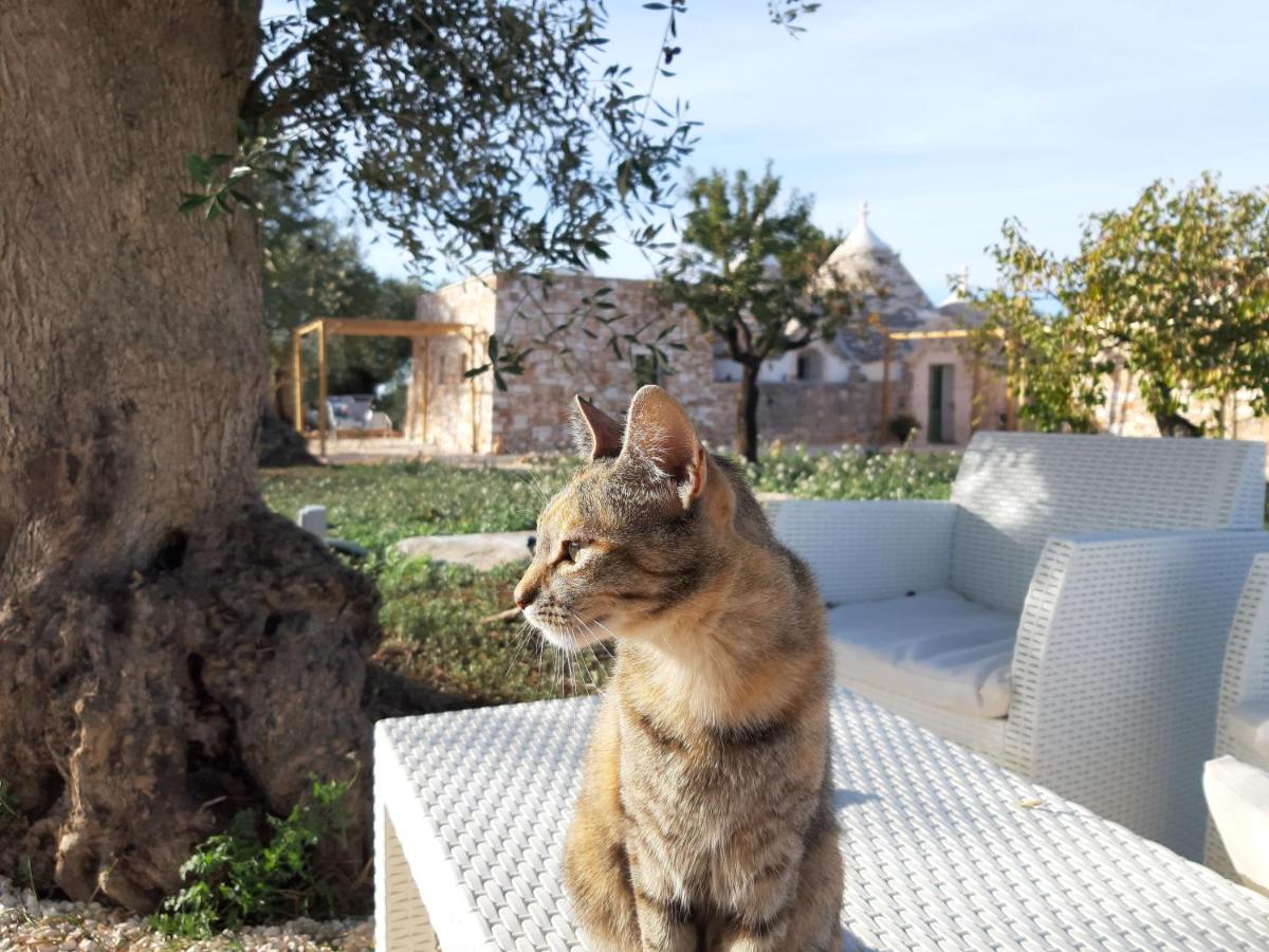 Il Fiore Della Vita Trulli Country House 콘베르사노 외부 사진