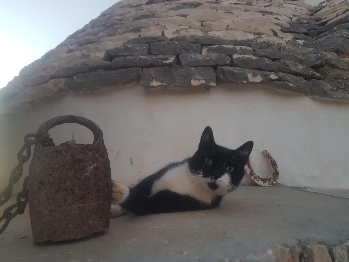 Il Fiore Della Vita Trulli Country House 콘베르사노 외부 사진