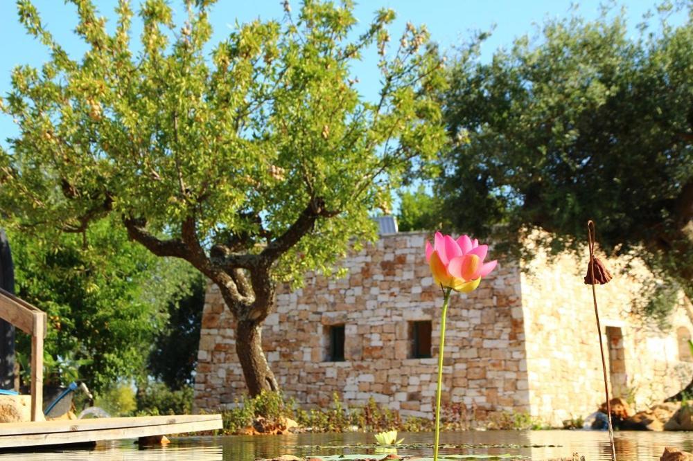 Il Fiore Della Vita Trulli Country House 콘베르사노 외부 사진